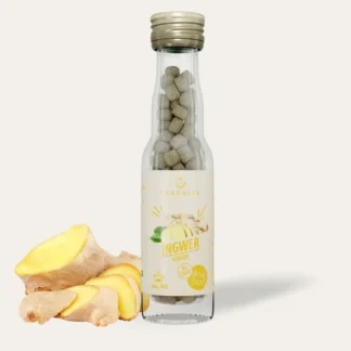 Teaballs - Ingwer Bio